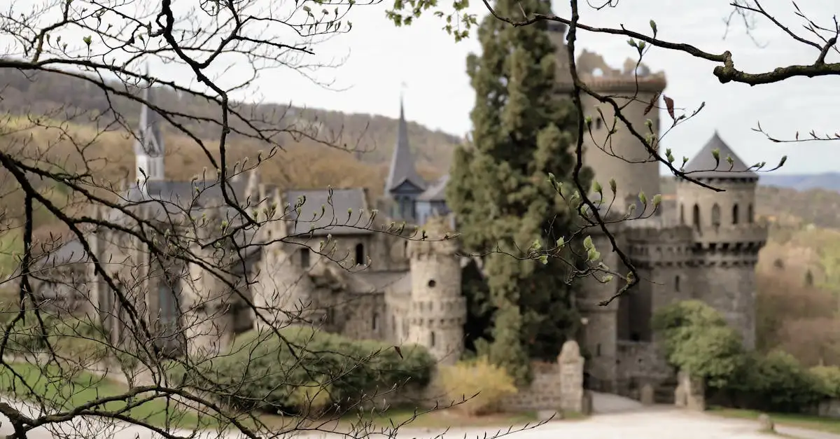 Wat is de geschiedenis van Ortenberg (Hessen)