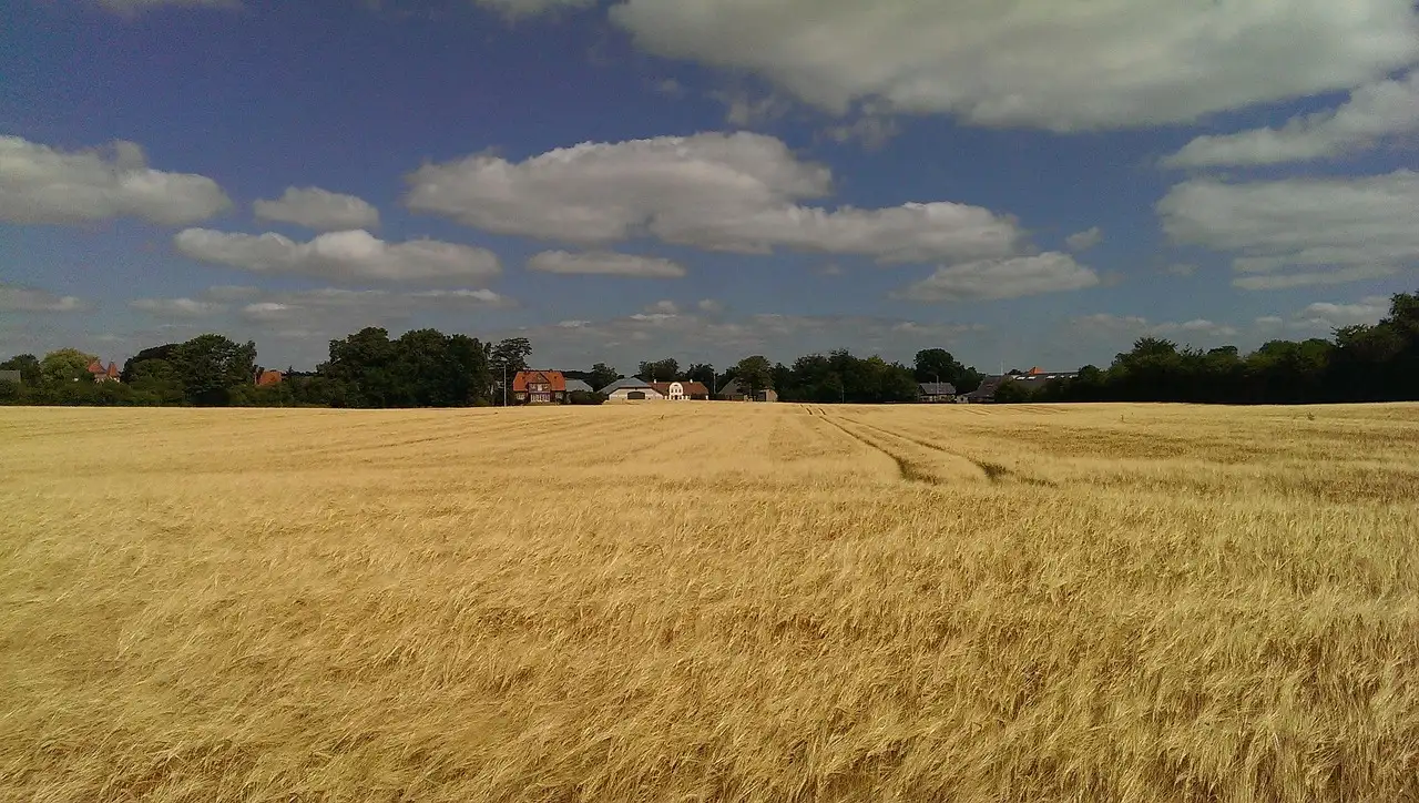 Wat zijn mooie wandelroutes / fietsroutes in Greifswald (Mecklenburg-Voor-Pommeren)